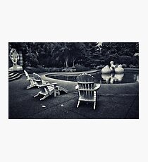 Modernist Garden Photographic Print