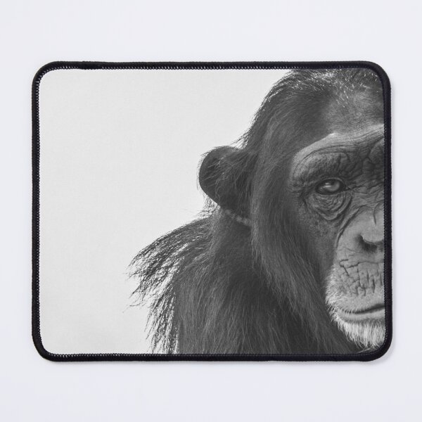Item preview, Serious Chimp Looking to You designed and sold by RafaelLima7.
