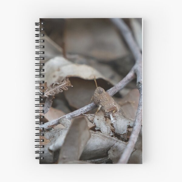 Item preview, A camouflaged grass hopper bug in the leaves designed and sold by Jason Gilbert.