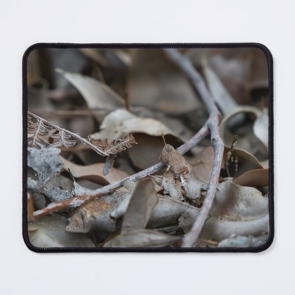Item preview, A camouflaged grass hopper bug in the leaves designed and sold by Jason Gilbert.