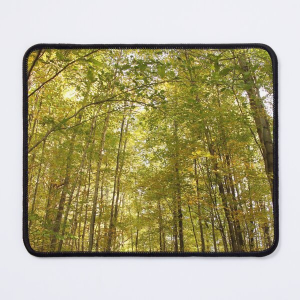 Item preview, Sunset Rock Park designed and sold by Autumn Seas Photography.