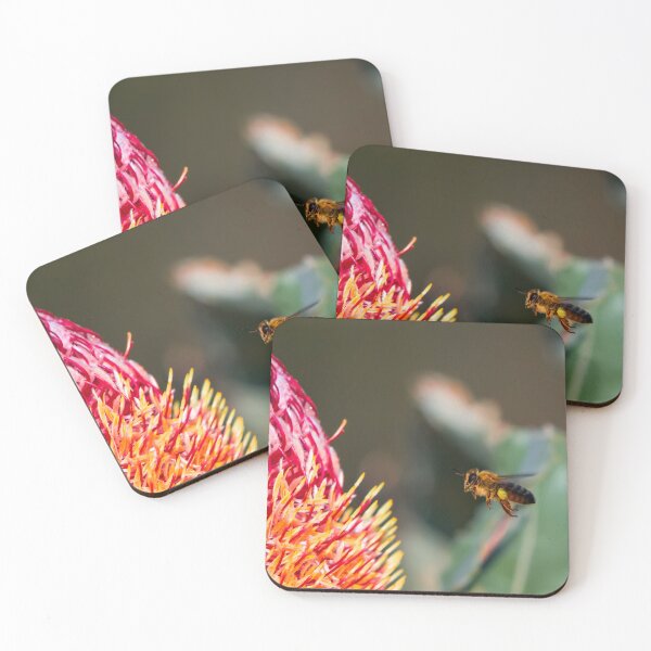 Item preview, Flying bee bee collecting banksia pollen with bees designed and sold by Jason Gilbert.