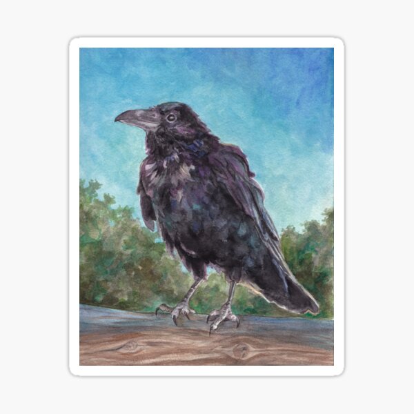 Raven, Sonoran Desert Sticker