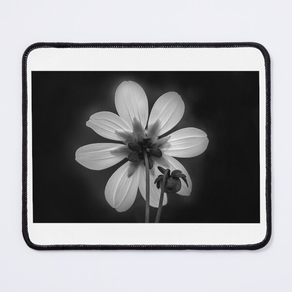 Item preview, _SSK5226 Nature's Beauty Emblem designed and sold by Sunil Kapadia.
