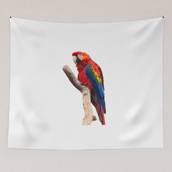 Item preview, Parrot bird designed and sold by DHSAstore.