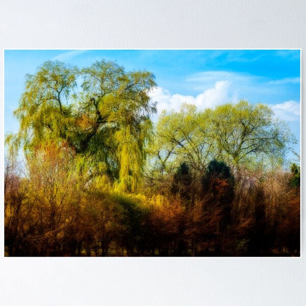 Aperçu de l'œuvre Treeline créée et vendue par Mike Cave.