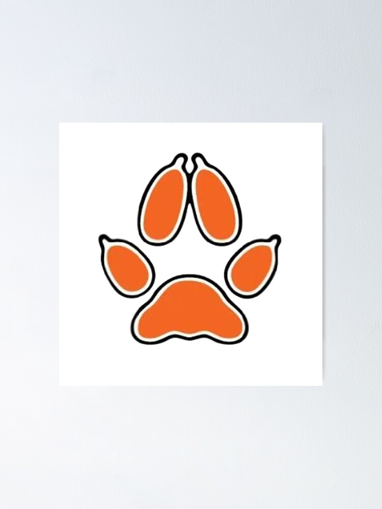"Palmetto State Foxes Logo" Poster for Sale by kaleidobear | Redbubble
