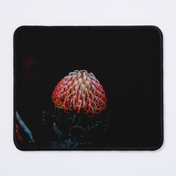 Item preview, Pincushion designed and sold by Shari Sherriff.
