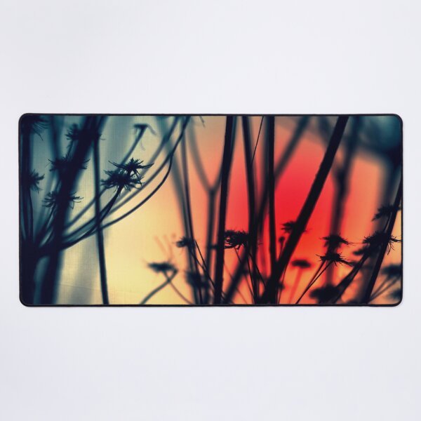 Shapes of Decay - Silhouettes of dry Weeds against colourful lights Desk Mat