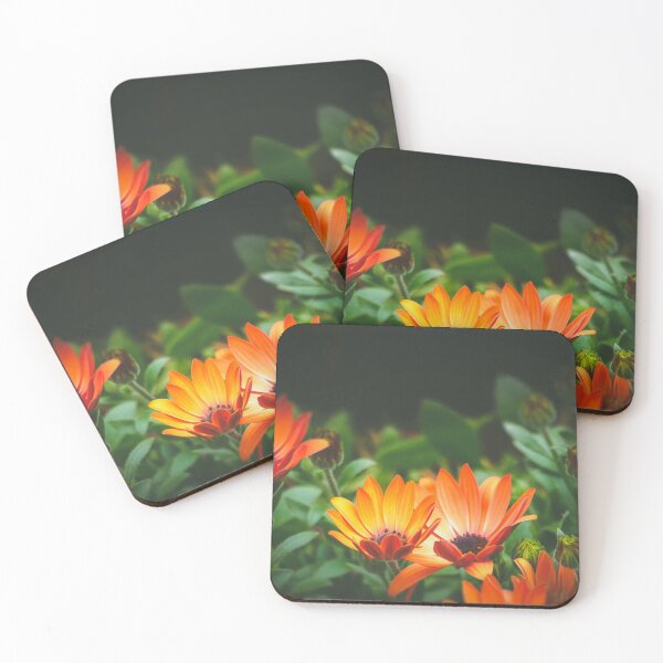 Item preview, Dimorphotheca Hybrid designed and sold by Shari Sherriff.