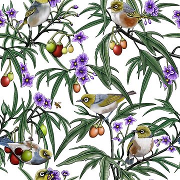 Artwork thumbnail, Silver Eye in Kangaroo Apple Repeated Pattern by Australian artist Laural Retz by Laural Retz