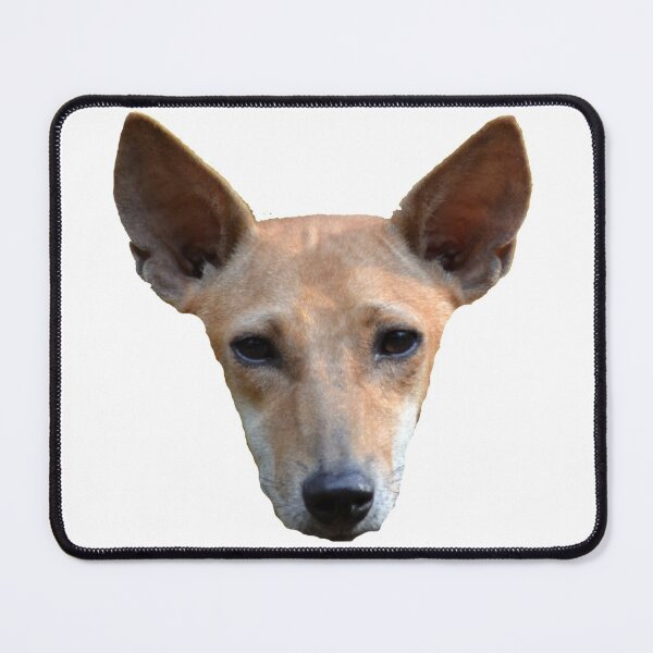 Item preview, The Indie Dog/Dog portrait designed and sold by VeenaNair23.