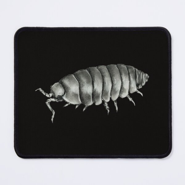 Item preview, Pillbug Isopod Rolypoly Drawing designed and sold by Kelley-Art.