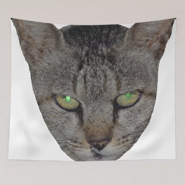 Item preview, The stalker/cat with green eyes/portrait designed and sold by VeenaNair23.