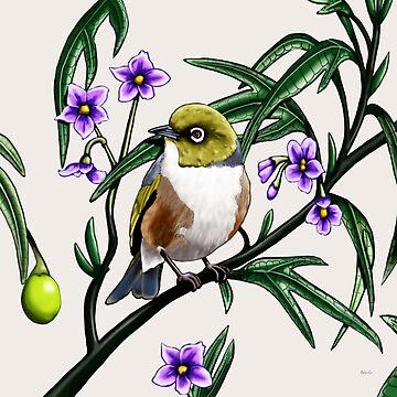 Artwork thumbnail, Silver Eye in Kangaroo Apple #1 by Australian artist Laural Retz by Laural Retz