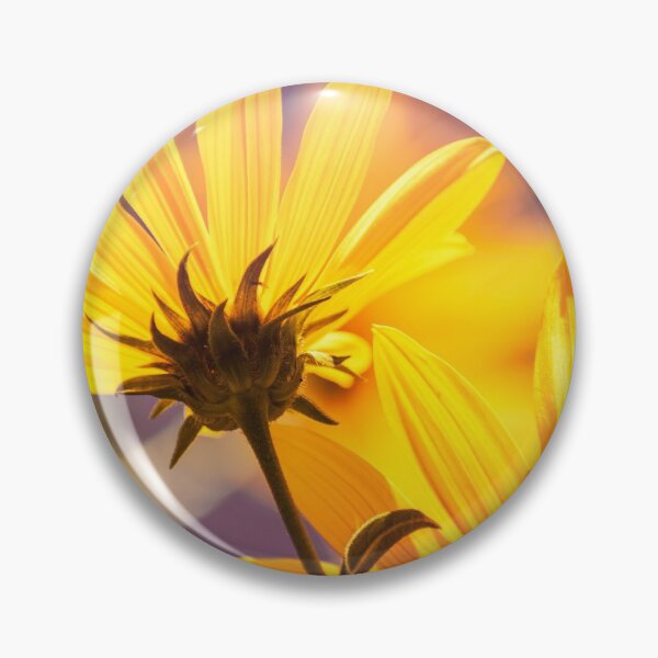 Item preview, Here Comes The Sun designed and sold by Jim Love.