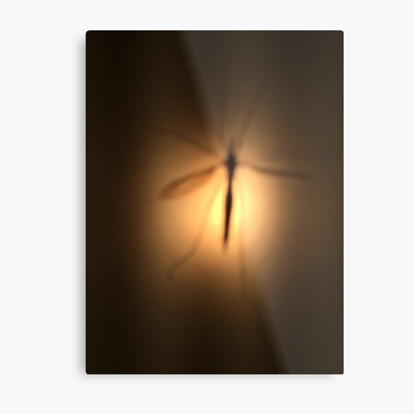 In the light Metal Print