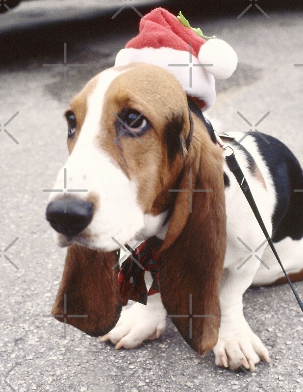 "Basset Hound Santa Claus Merry Christmas" by CafePretzel Redbubble