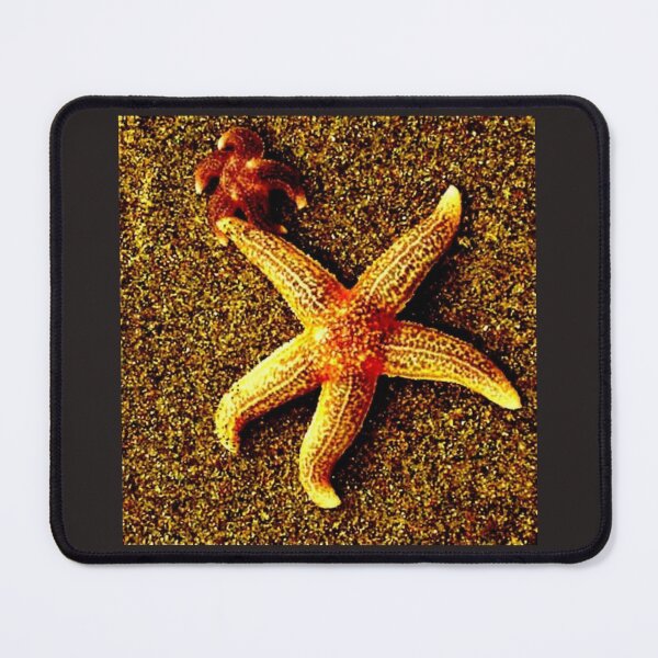 Item preview, Mom baby starfish beach sand sea vacation holidays designed and sold by G-M-Designs.