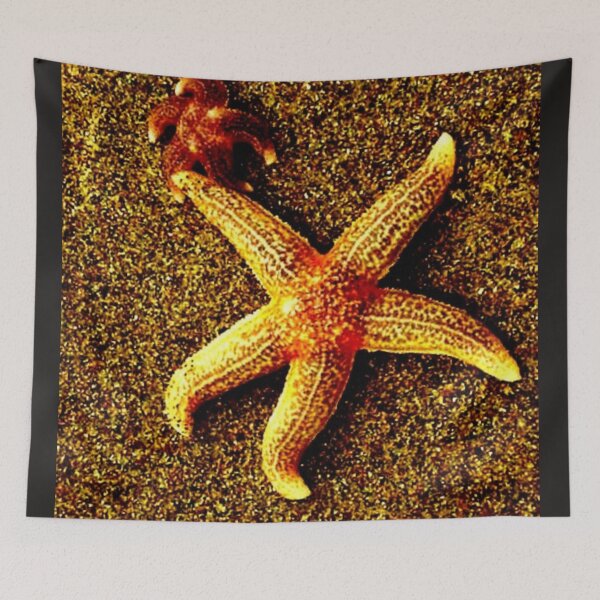 Item preview, Mom baby starfish beach sand sea vacation holidays designed and sold by G-M-Designs.