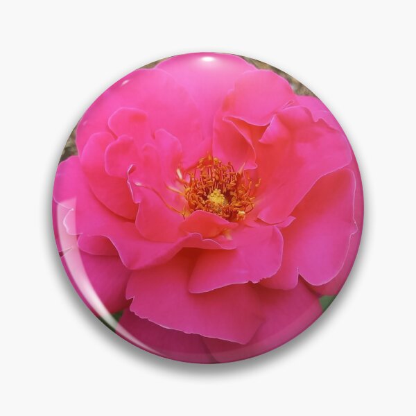 Item preview, Pink Rose South Korea 2021 designed and sold by preethijay.