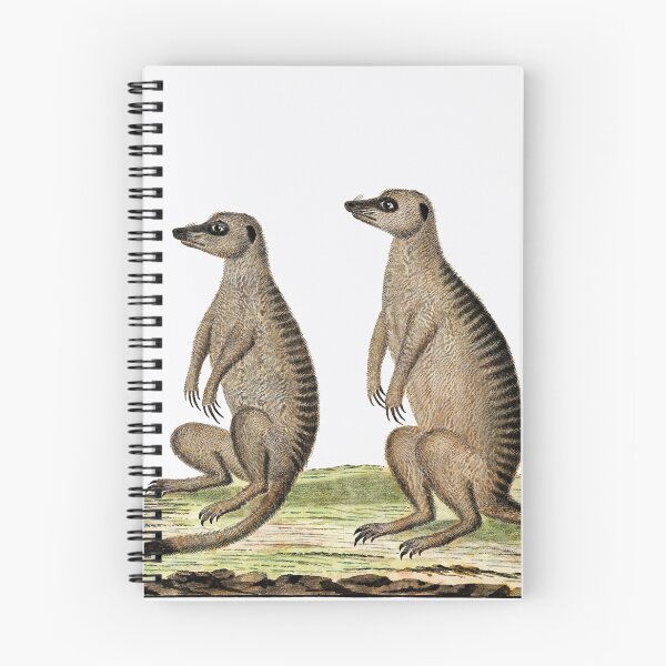 Item preview, Suricata suricatta: Meercats painting designed and sold by debjaynedesign.