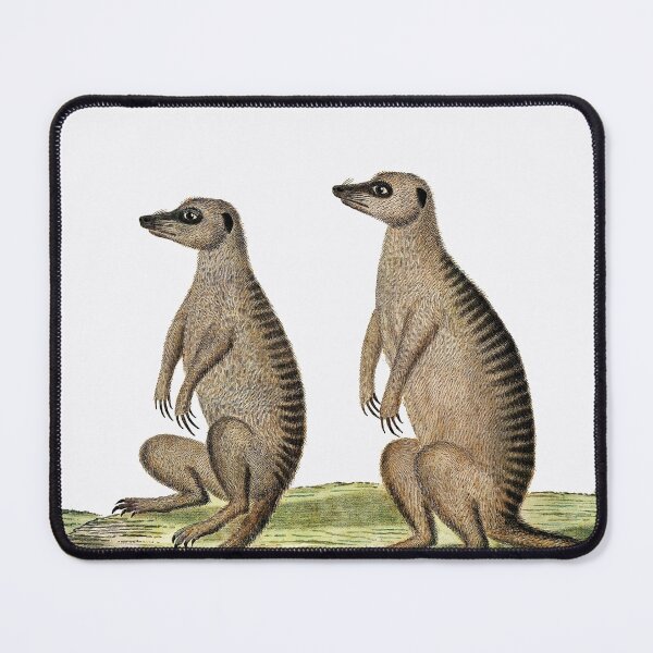 Item preview, Suricata suricatta: Meercats painting designed and sold by debjaynedesign.