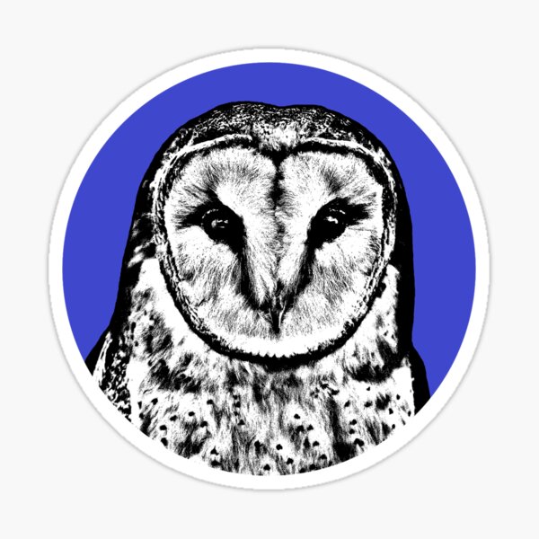 Item preview, Barn Owl Stencil designed and sold by KJCasey1982.