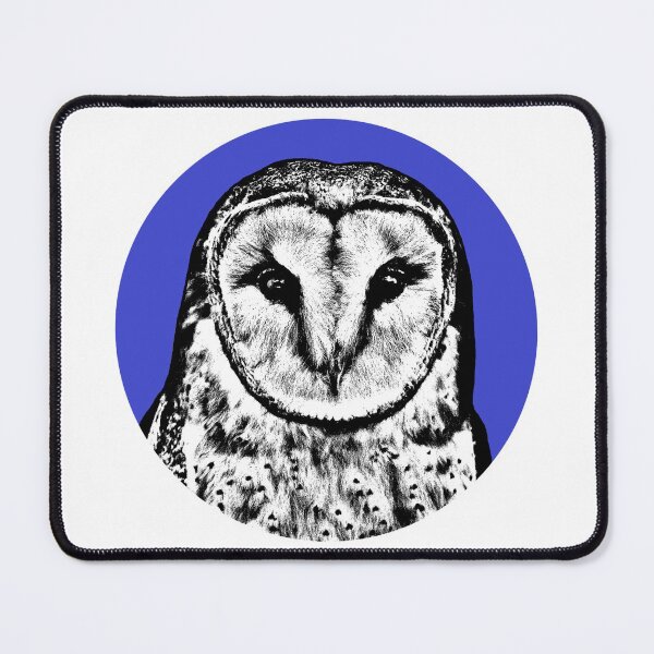Item preview, Barn Owl Stencil designed and sold by RevolutionInPaint.