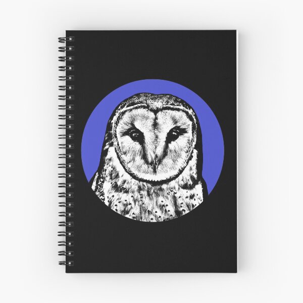 Item preview, Barn Owl Stencil designed and sold by RevolutionInPaint.