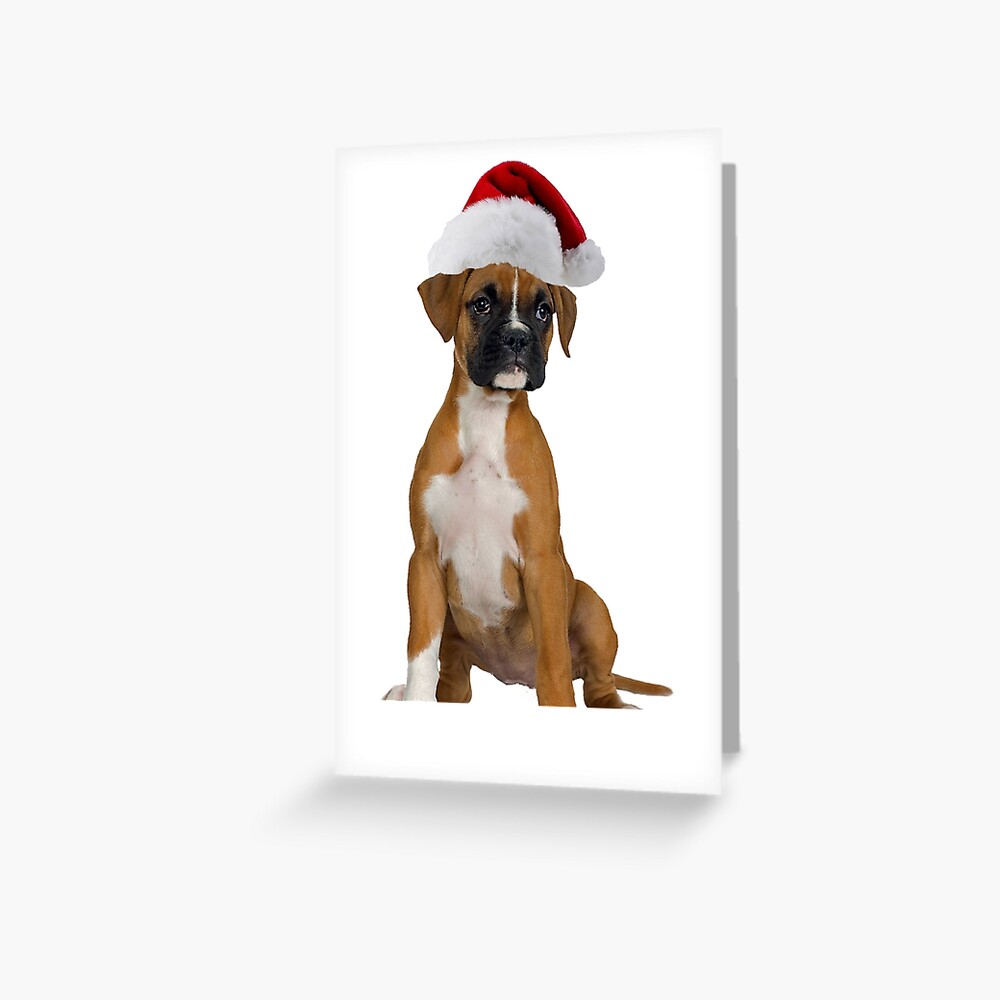 christmas boxer dog statue