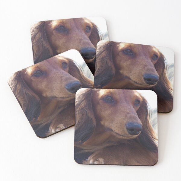Item preview, Brown dachshund dog portrait designed and sold by Alelmisira.
