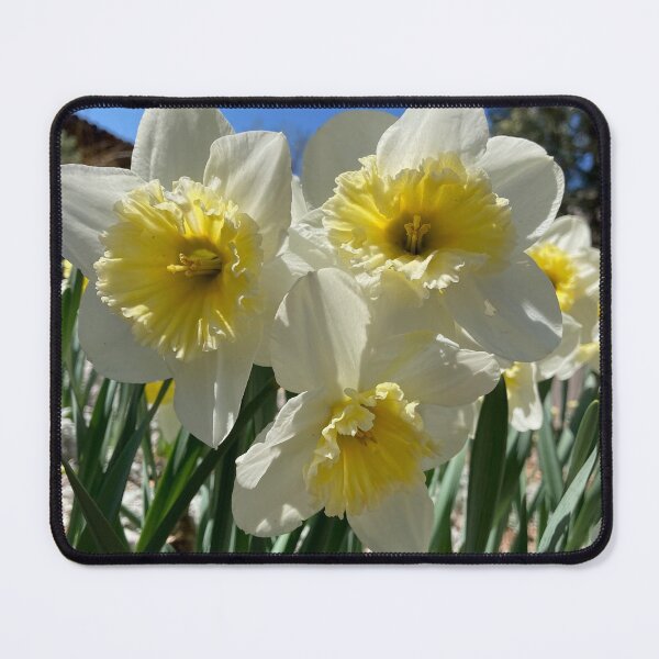 Item preview, Daffodil designed and sold by MaureensGalaxy.