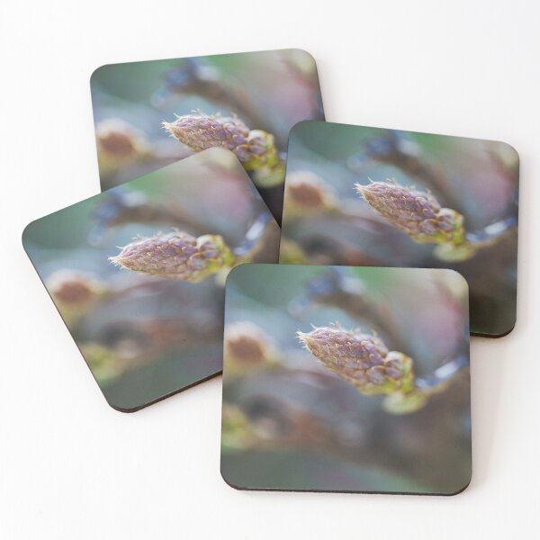 Item preview, Wisteria Flowering Bud designed and sold by Joy Watson - Natural Light Photography .