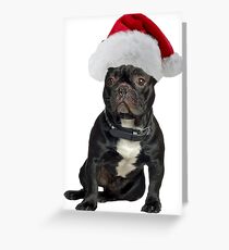 French Bulldog Santa Claus Merry Christmas Greeting Card