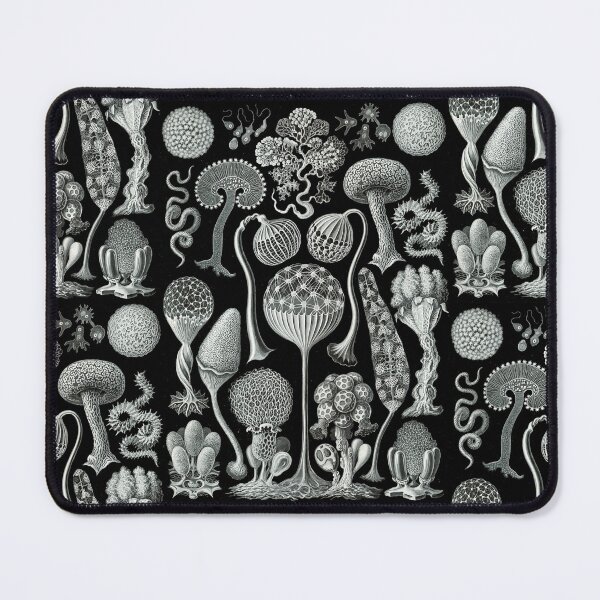Item preview, Slime Molds designed and sold by Good-Looking Corpse.