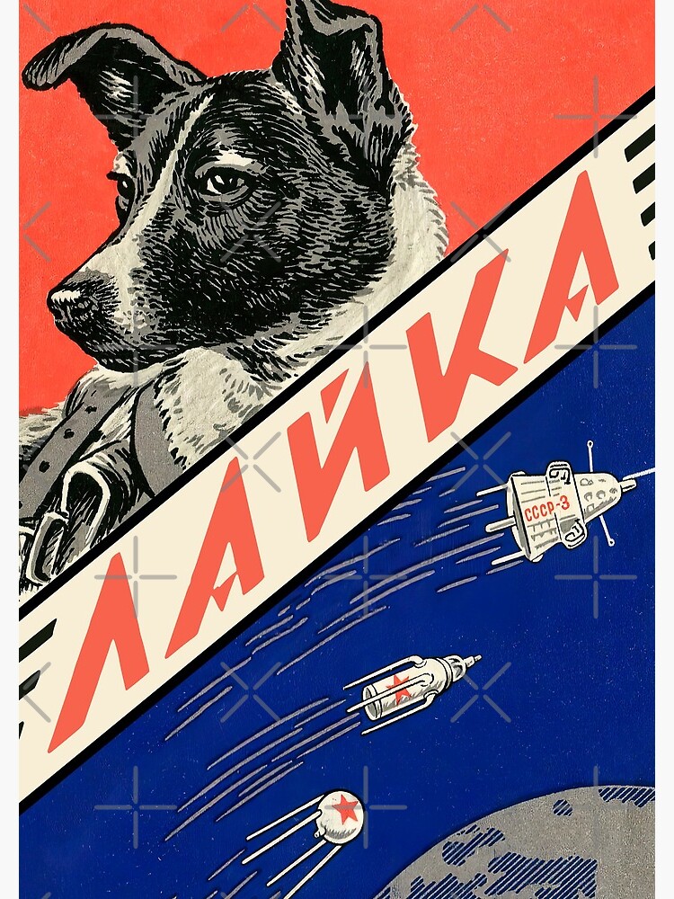 First soviet space store dog