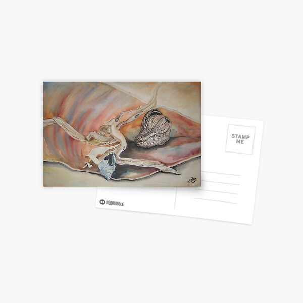 Still Life ( Shells , Drift wood and coconut husk ) Postcard