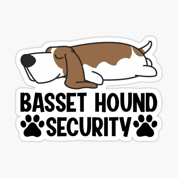 basset hound accessories
