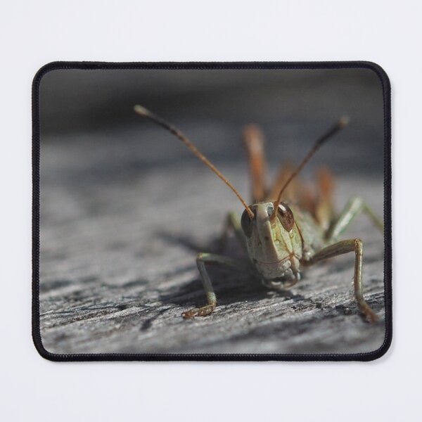Item preview, Happy grasshopper close up designed and sold by Alelmisira.
