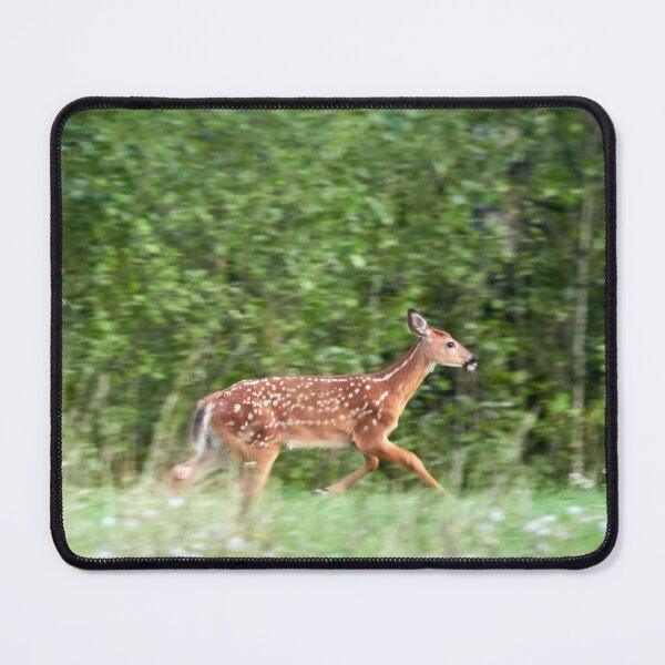 Item preview, Runaway child. White-tailed deer designed and sold by Jouko Lehto Photography.