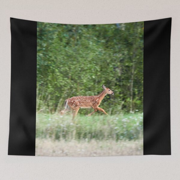 Item preview, Runaway child. White-tailed deer designed and sold by Jouko Lehto Photography.