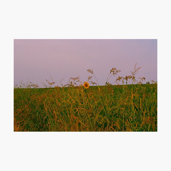 Blooming alone Photographic Print