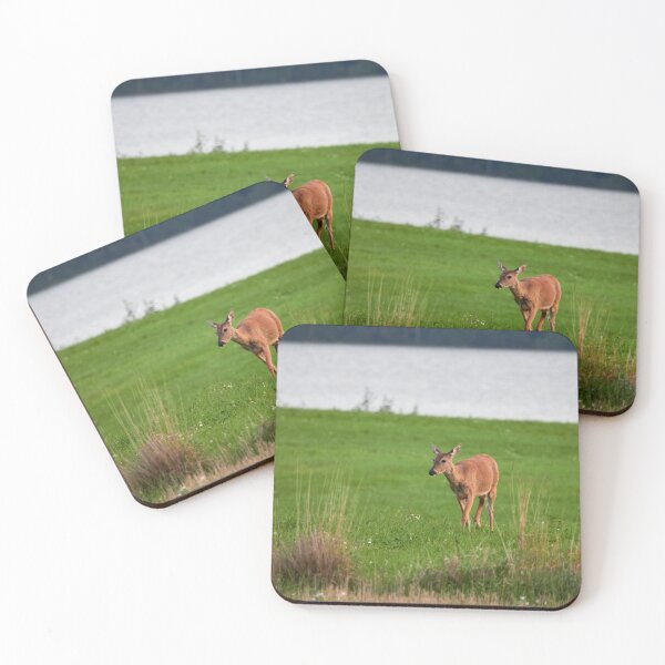 Item preview, In the late evening light. White-tailed deer designed and sold by Jouko Lehto Photography.