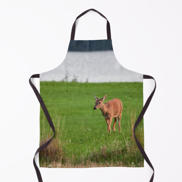 Item preview, In the late evening light. White-tailed deer designed and sold by Jouko Lehto Photography.