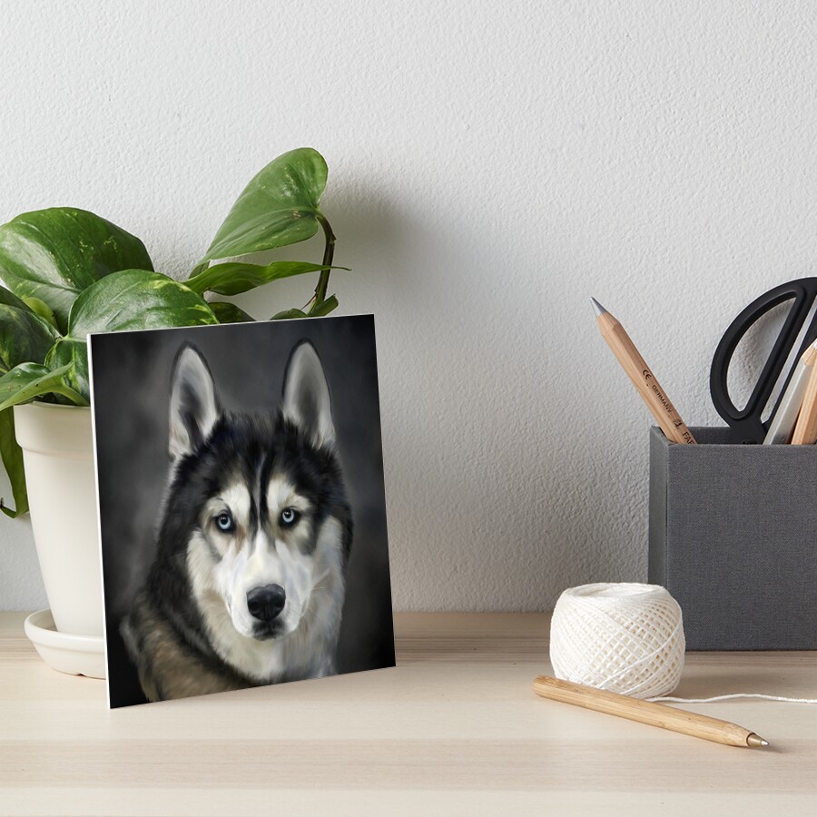 husky dog accessories