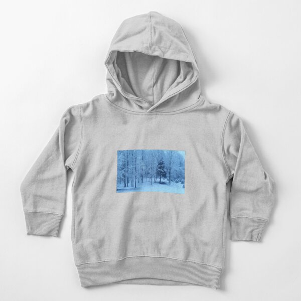 Snow on trees Toddler Pullover Hoodie