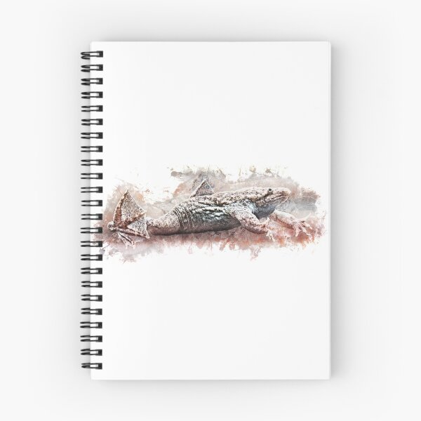 Item preview, Small comb toad - Pipa parva designed and sold by AquariumLutter.