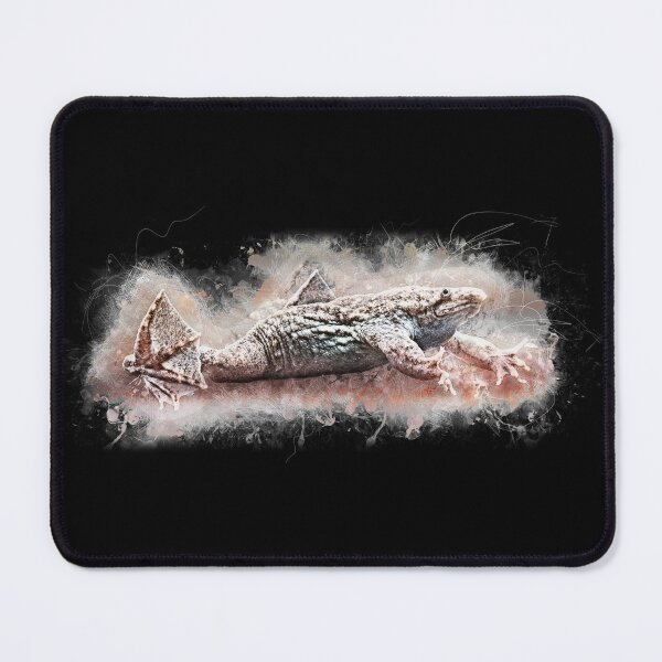 Item preview, Small comb toad - Pipa parva designed and sold by AquariumLutter.