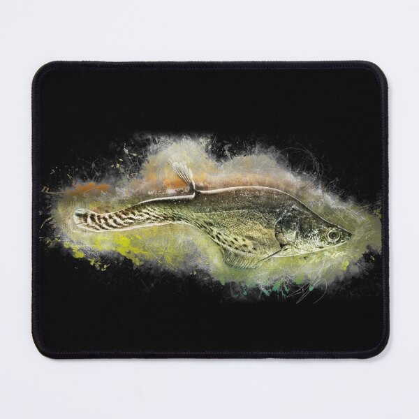 Item preview, Flag knifefish - Chitala blanci designed and sold by AquariumLutter.